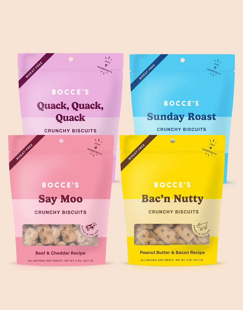 Everyday Biscuits Bundle